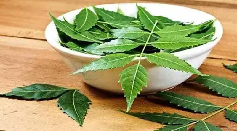 neem