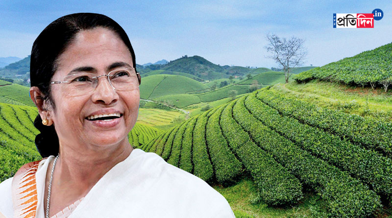 CM Mamata Banerjee says WB govt will take over closed tea gardens of Jalpaiguri । Sangbad Pratidin
