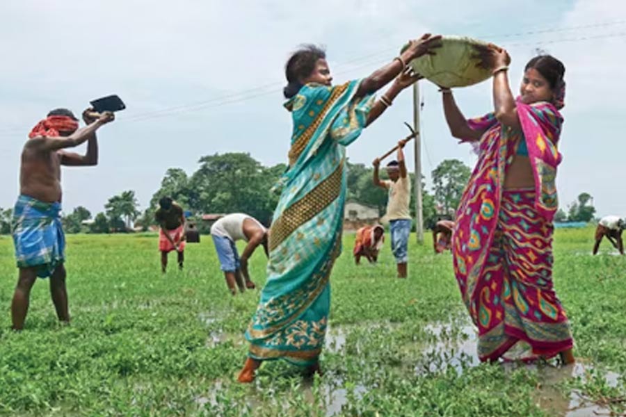 Why hasn't the 100-days project started despite High Court's order, Center refuses to answer