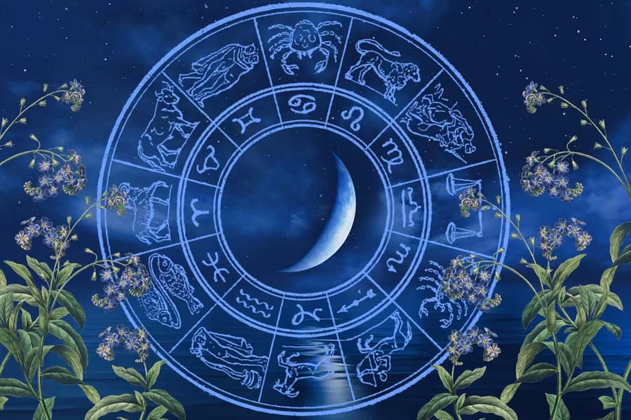 Weekly Horoscope from 13th October to 19th October 2024