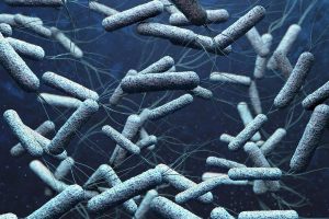 Man detected with Cholera in Kolkata