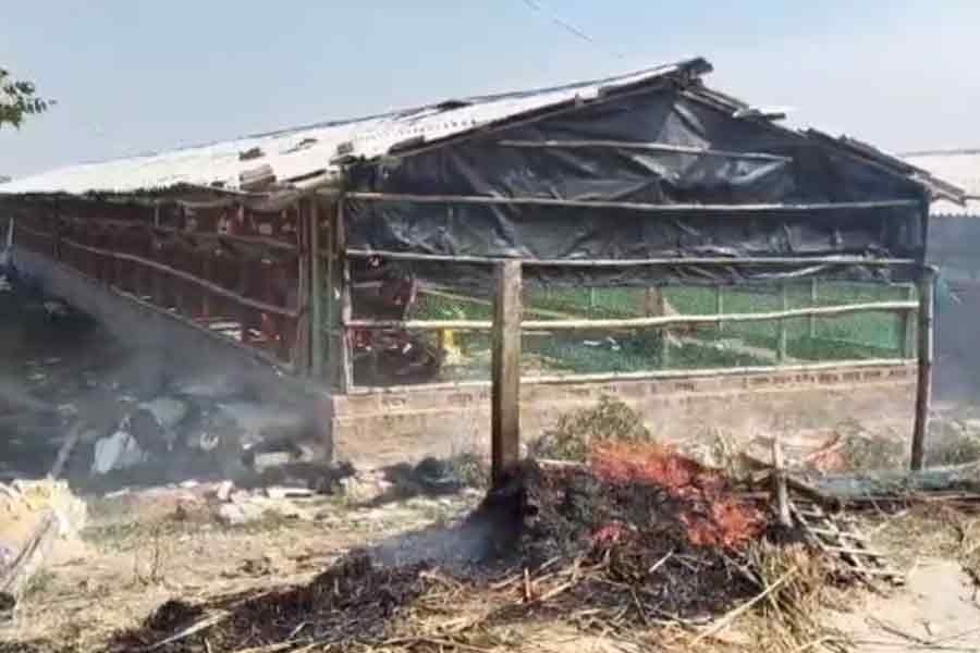 Sandeshkhali Violence: 3 poultries set on fire in Sandeshkhali | Sangbad Pratidin