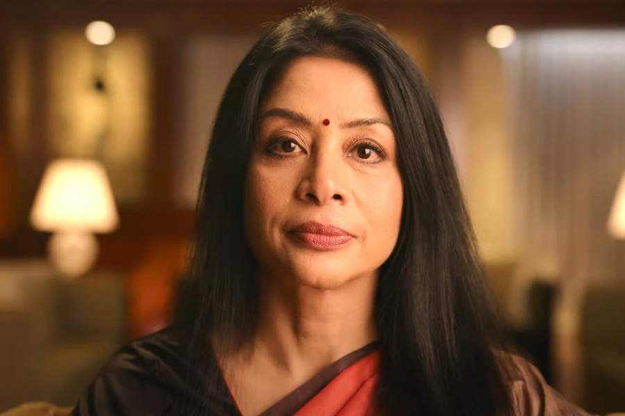 Indrani Mukerjea left penniless, court told