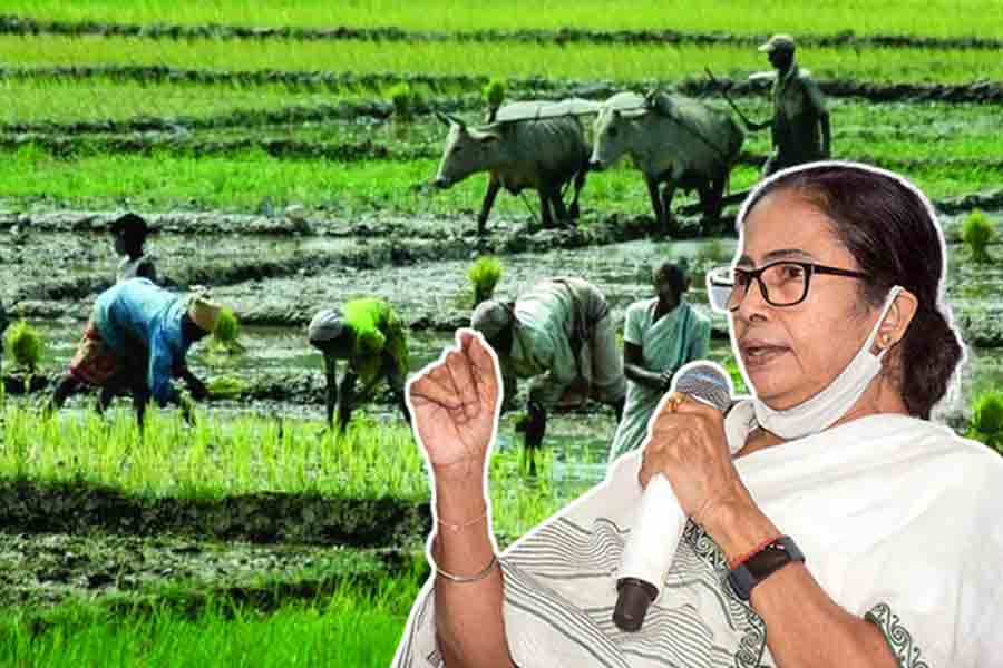 WB govt to provide 3 thousand crore to farmers