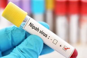 Three Kerala districts on alert after Nipah cases reported