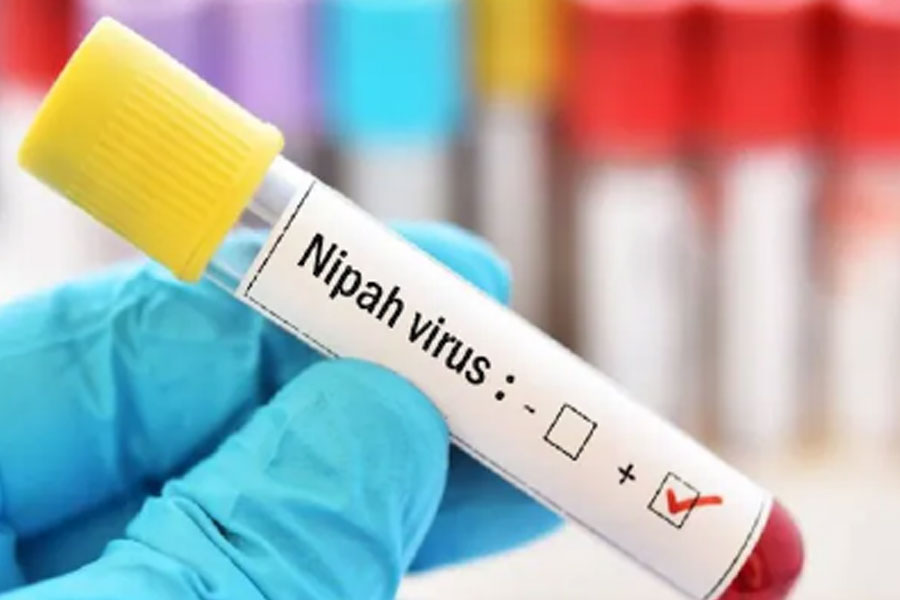 Three Kerala districts on alert after Nipah cases reported