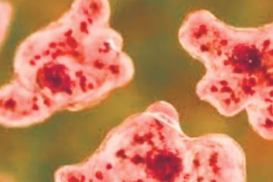 Brain eating amoeba enters in body of Kerala boy, he dies