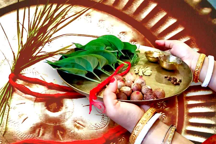Here are important facts of Bipodtarini Brata