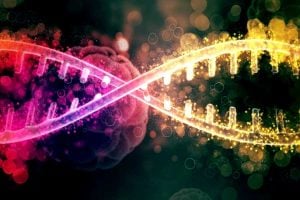 Scientists to create human DNA from scratch in lab to unlock genome secrets