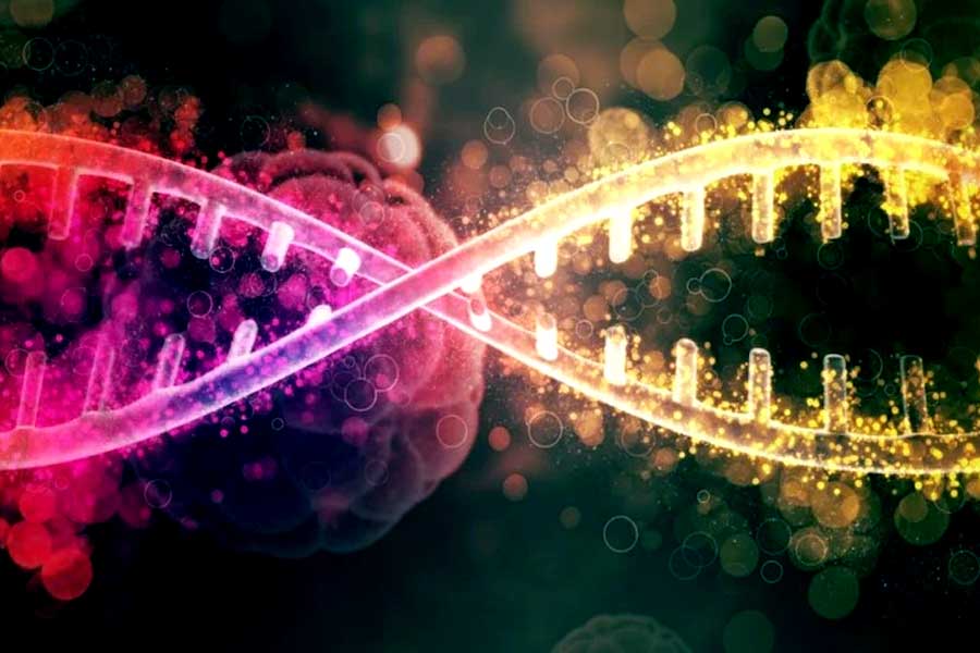 Scientists to create human DNA from scratch in lab to unlock genome secrets