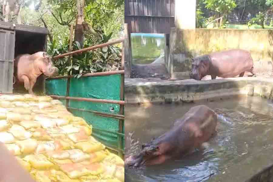 4 new members at Alipore Zoo