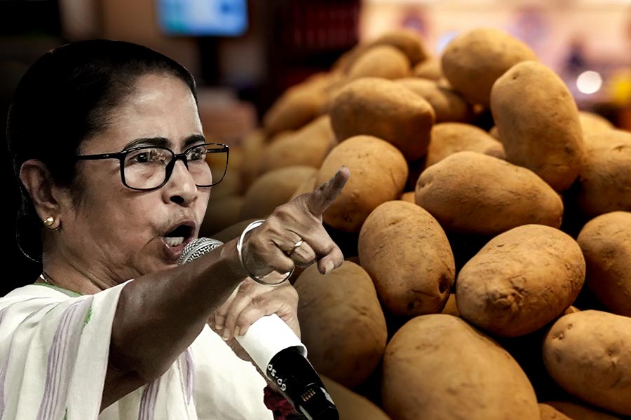 Task force decides to stop potato export temporarily to control market price