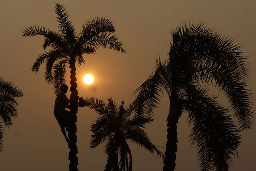 Weather Update: What will the weather be like on Poush Sankranti