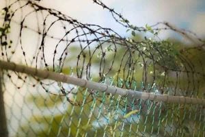 BSF Soldiers prevent smuggling at the Swarupnagar border