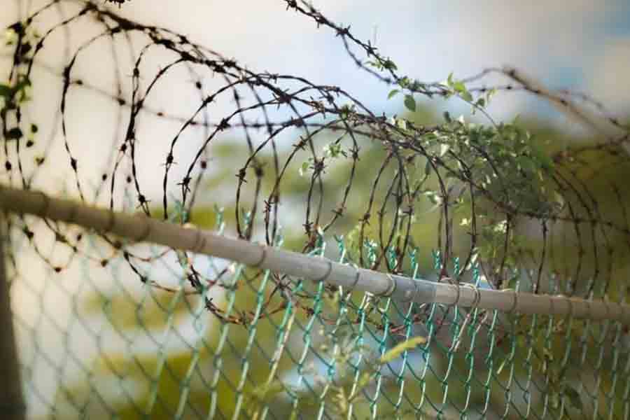 TMC MP Dev asks Centre about fencing in India-Bangladesh border