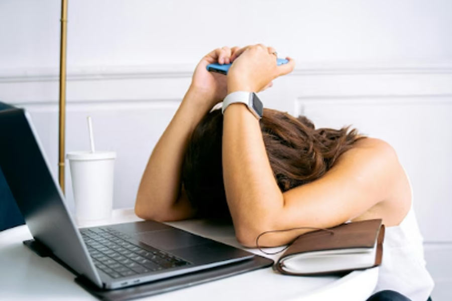Economic Survey 2024-25 warns against over 60-hour workweeks