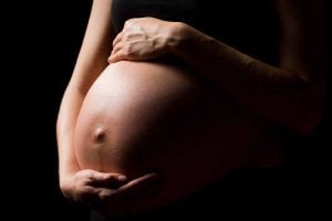 Make Childless Women Pregnant, Get Rs 10 Lakh, Bihar Police Bust Unique Scam