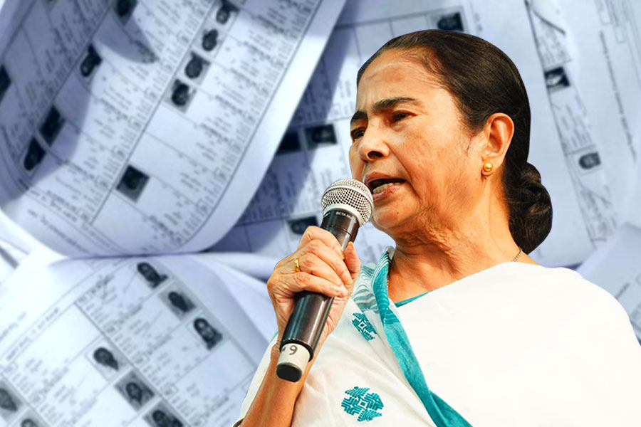 BJP used agency to register fake voters in WB, alleges Mamata Banerjee