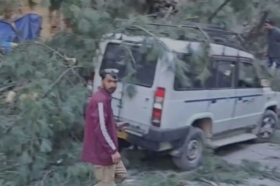 6 Killed After Strong Winds Uproot Tree In Himachal Pradesh Tourist Area
