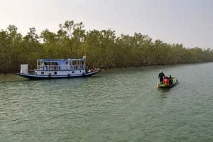 set of guidelines issued for visiting the Sundarbans tiger project