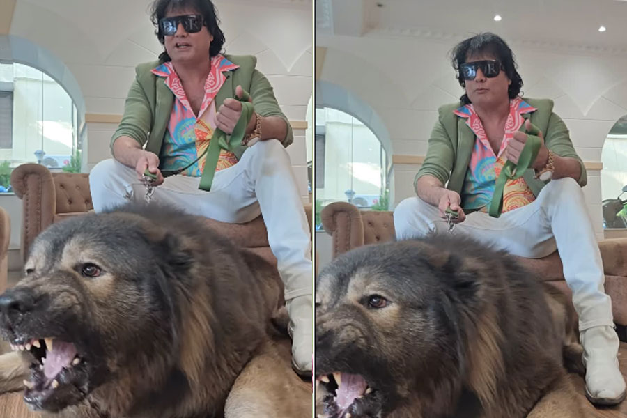 Indian man buys world's most expensive pet dog worth 50 crore