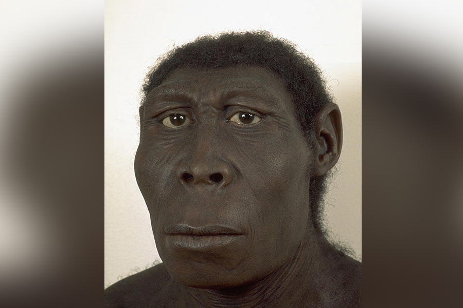 140,000 year old bones found under ocean hint at lost world