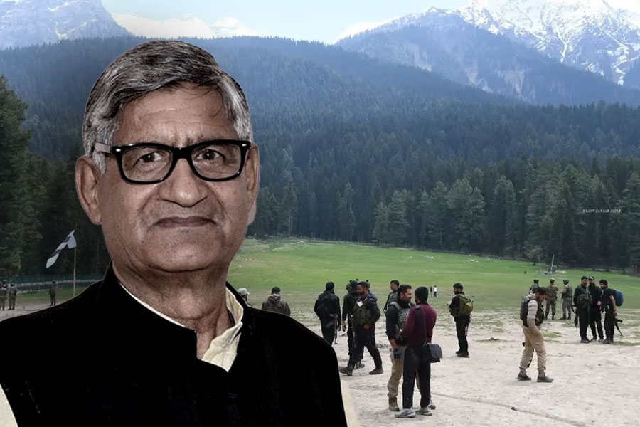 Pahalgam Terror attack: BJP MP says widows of victims 'should have fought back instead of pleading' to terrorists