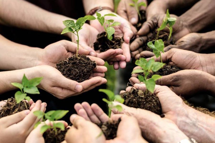 Environment News: Environmental Science to be introduced in Class XI syllabus