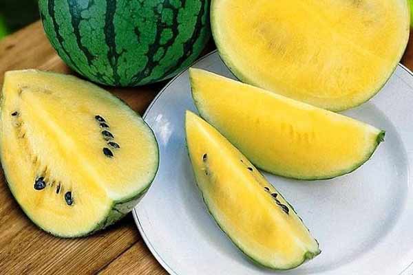 Yellow-Watermelon