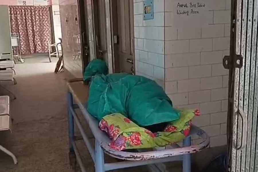 Elderly woman's body found in Basirhat