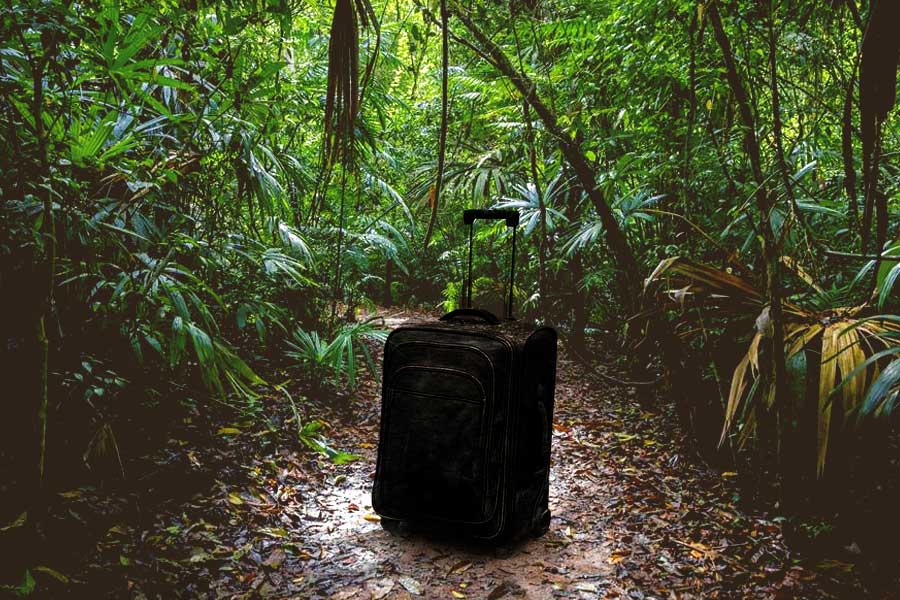 Decomposed Woman’s Body Found In Suitcase In Uttar Pradesh