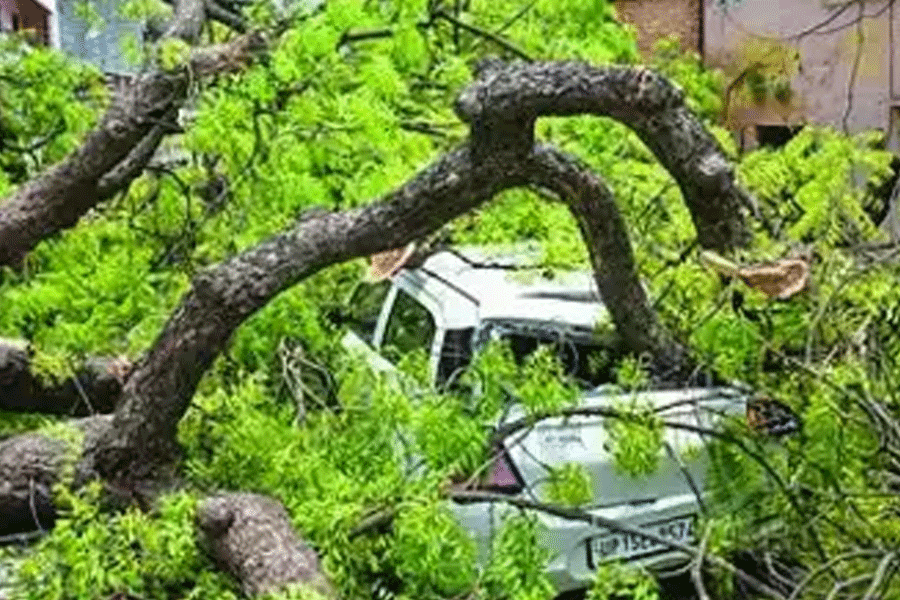 Rain, winds and lightning strikes kill 45 people in uttar pradesh