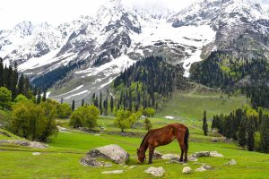 LG manoj sinha says 12 tourist spots to be reopen in Jammu-Kashmir