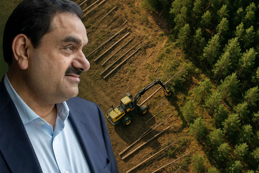 Massive Tree Felling for Adani-Operated Coal Mine in Chhattisgarh’s Raigarh