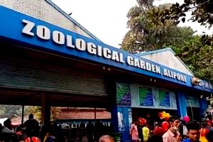 New initiative to prevent genetic problems of Animels at Alipore Zoo