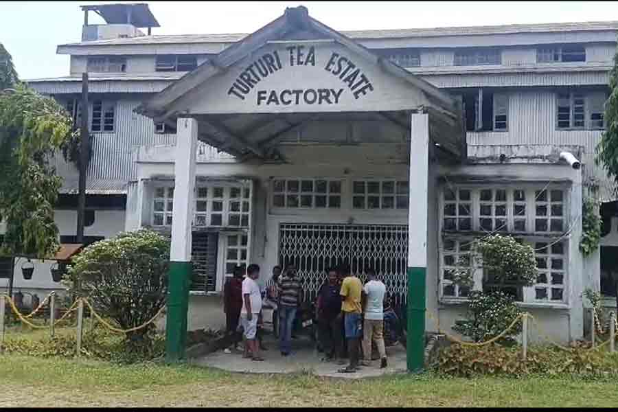 Another tea estate shut down in Alipurduar, 500 workers jobless