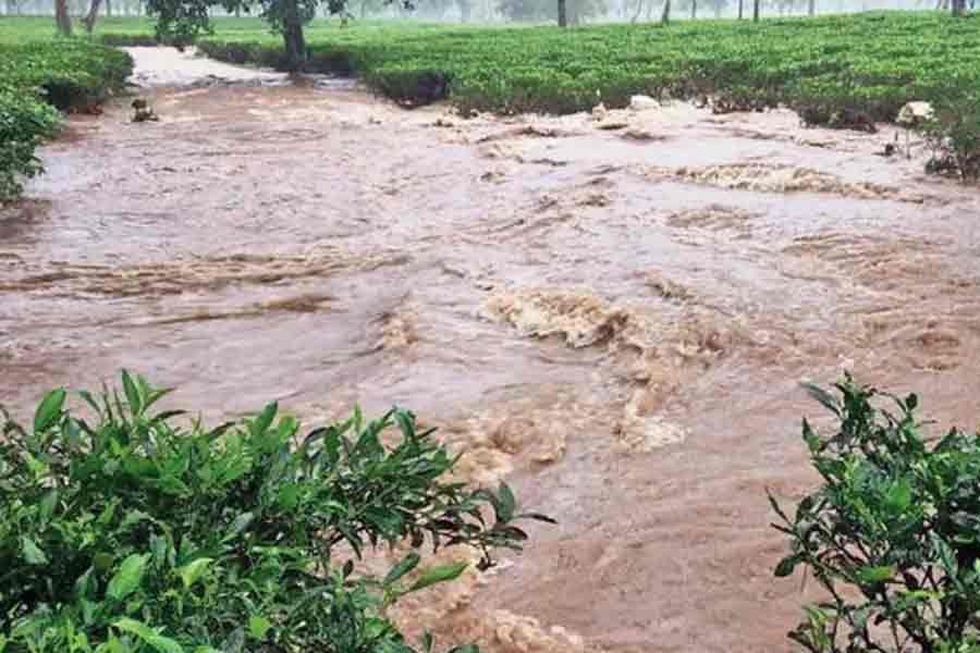 Prediction of Weather of Duars for 72 hours before