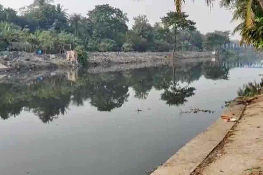 15 boats will be in action to kill mosquitos in New Town