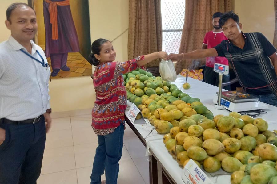Mango festival begins in Delhi