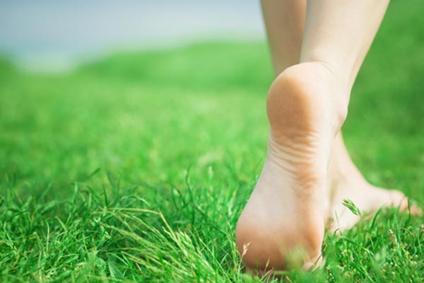 Morning-Walk-on-grass