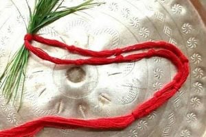 Here are some important facts of Bipadtarini puja 2025