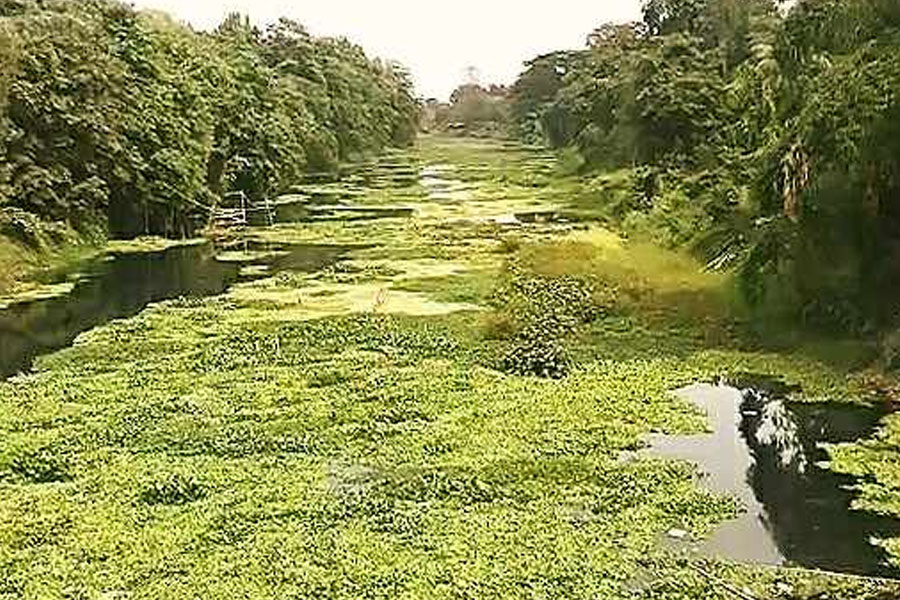 Along with Teesta, Karla River will also be dredged to increase navigability