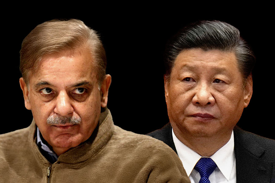 Nations No Longer Expect Pakistan To Come Knocking With A Begging Bowl: Shehbaz Sharif