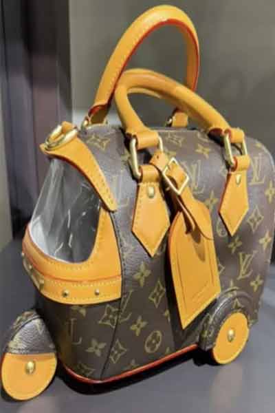 Auto-Rickshaw-Bag
