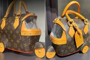 New handbag inspired by India's iconic auto rickshaw