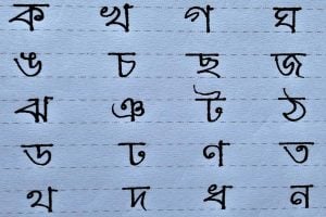 Political conspiracy to create a 'binary' of division