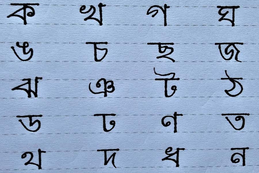 Political conspiracy to create a 'binary' of division