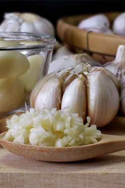Garlic