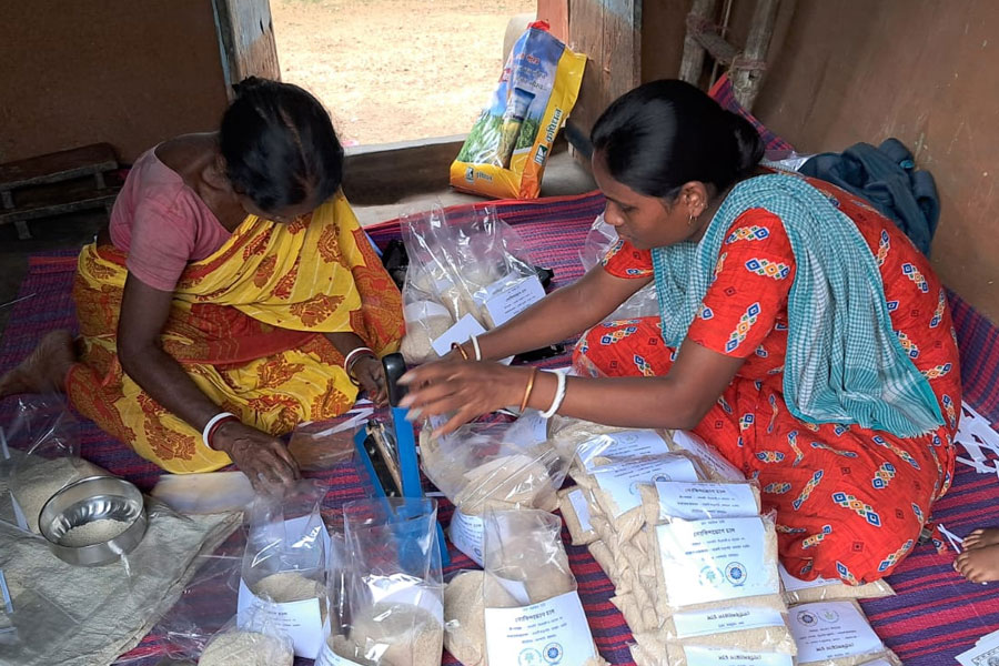 Jamboni women are benefiting from cultivating Gobindobhog