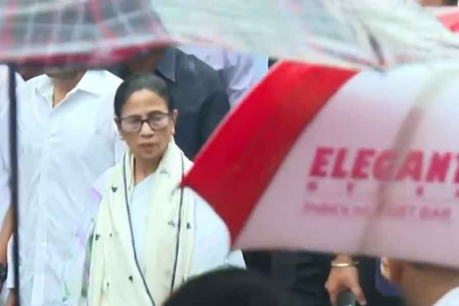 Mamata Live Update: cm Mamata Banerjee joins rally